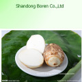 Taro with High Quality in Hot Sale